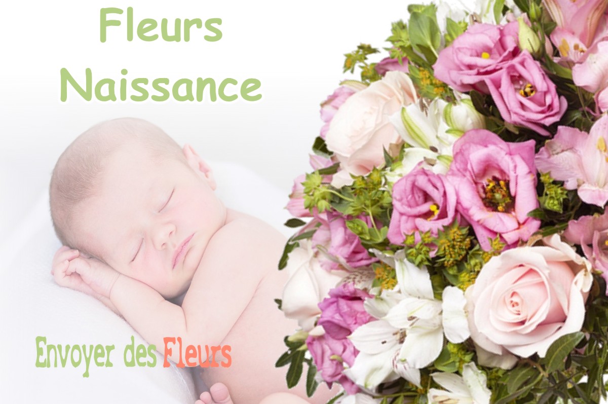 lIVRAISON FLEURS NAISSANCE à VERNAS